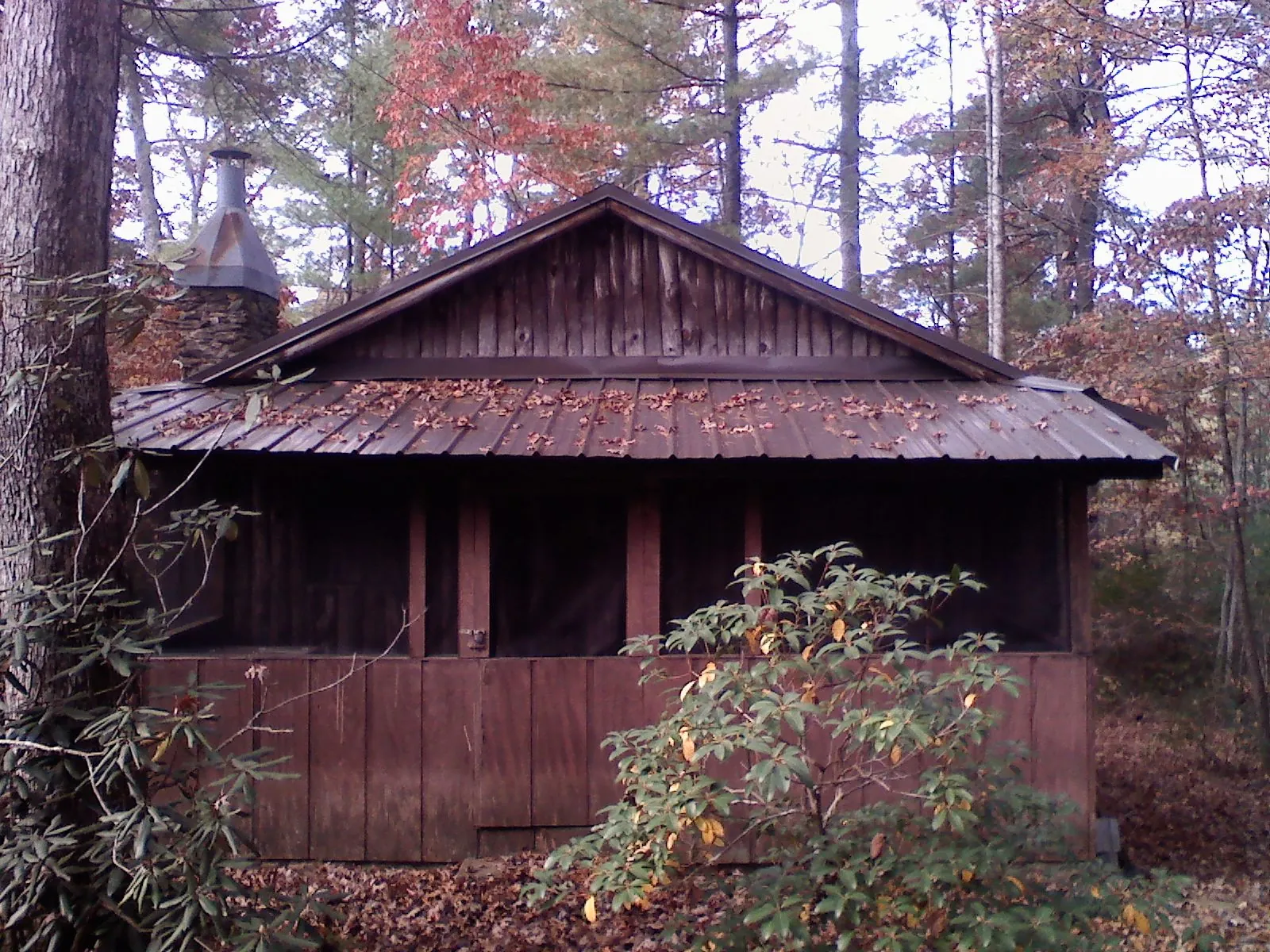 Metal roof over the screened porch of a rustic cabin in Coatesville
